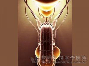 前列腺痛影響性福嗎